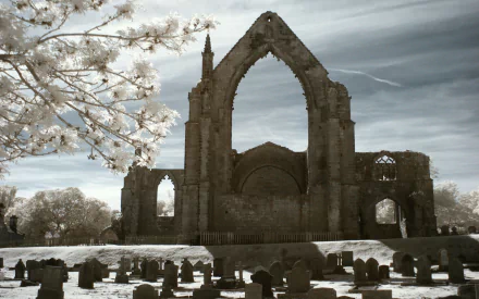 man made Bolton Priory HD Desktop Wallpaper | Background Image