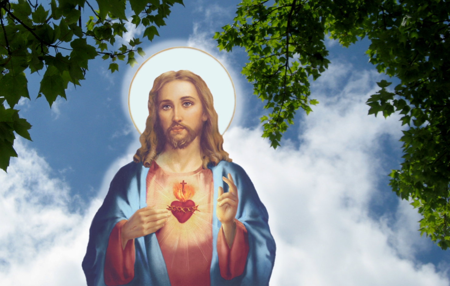 sacred heart of jesus by josecafeina