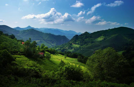 HD desktop wallpaper featuring a lush green valley with rolling hills and scattered trees under a clear blue sky.