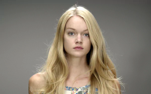 HD PC desktop wallpaper featuring American model Lindsay Ellingson with long blonde hair against a neutral gray background.