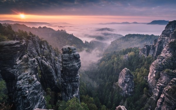 Earth Landscape Mountain Forest Fog HD Wallpaper | Background Image