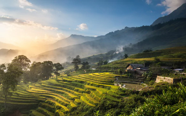 man made rice terrace HD Desktop Wallpaper | Background Image