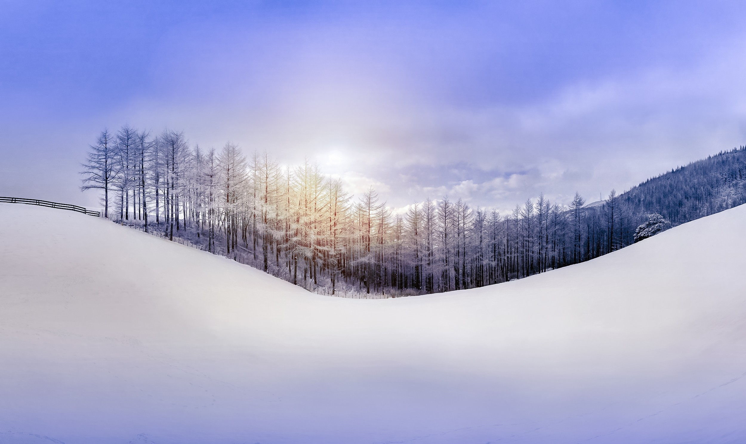 Earth Winter HD Wallpaper | Background Image