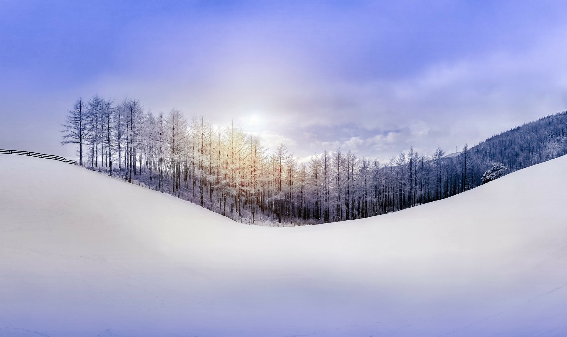 A serene winter landscape featuring bare trees against a soft blue sky, with sunlight filtering through clouds and a blanket of snow covering gentle hills. Great for desktop wallpaper.