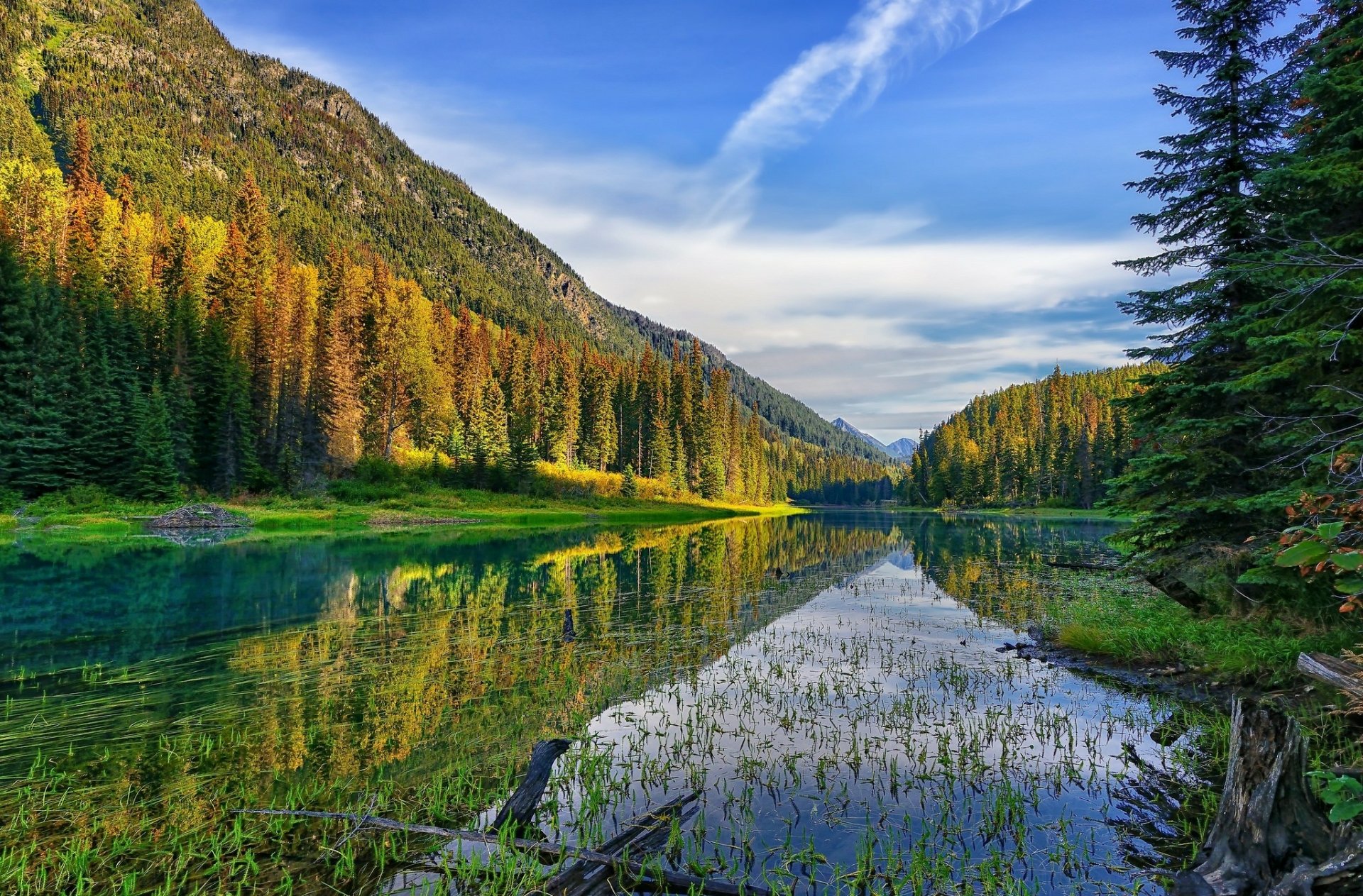 HD PC desktop wallpaper: serene mountain landscape with clear water reflecting forested slopes and blue sky, tall pines framing an alpine lake.