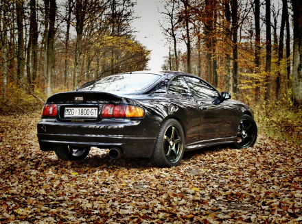 Black Toyota Celica parked on leaf-covered forest floor in fall, framed by tall trees — 2K Quad HD PC desktop wallpaper and background.
