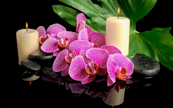 Religious Zen Candle Light Orchid Leaf HD Wallpaper | Background Image