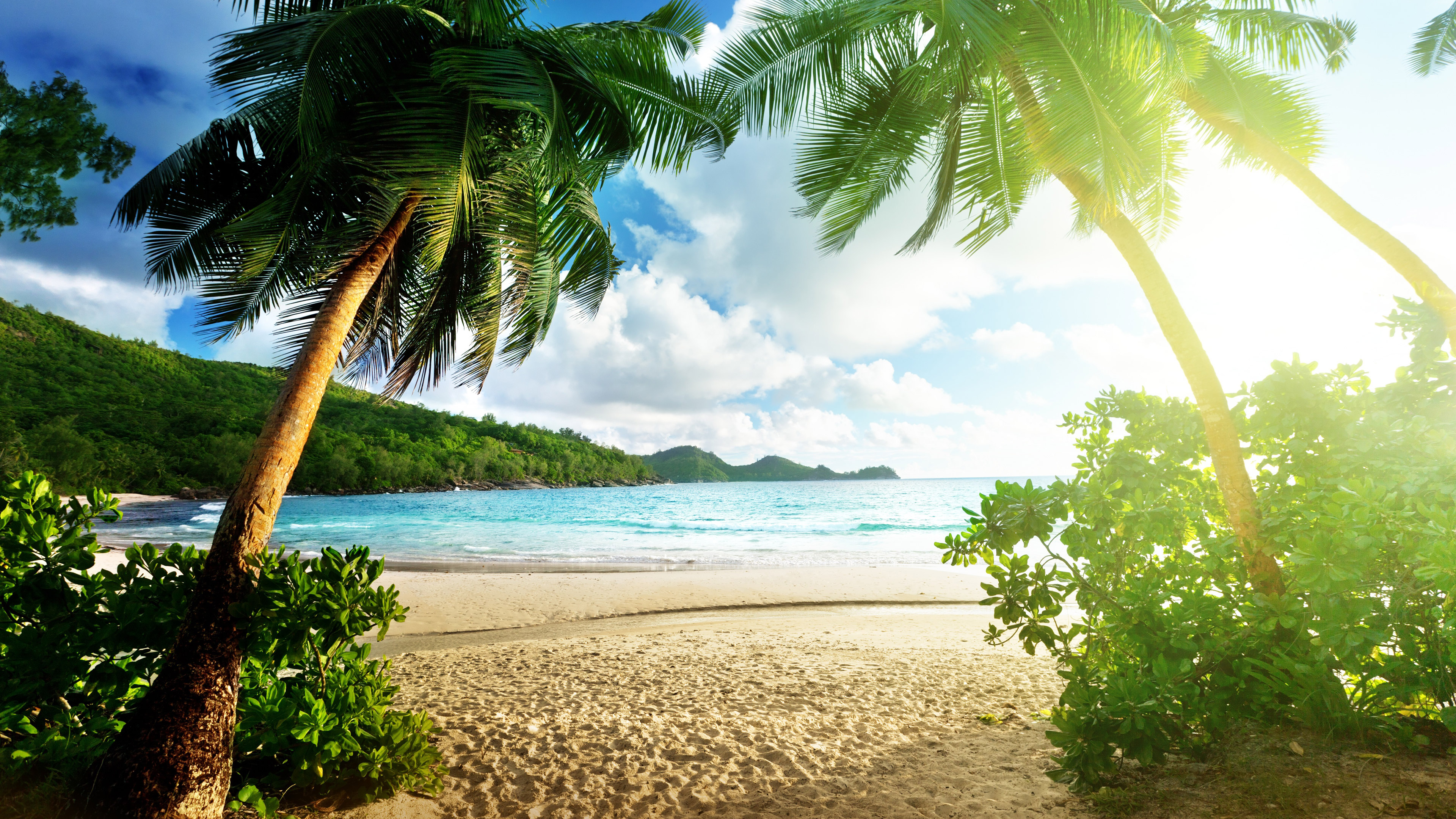 background pictures for computer tropical