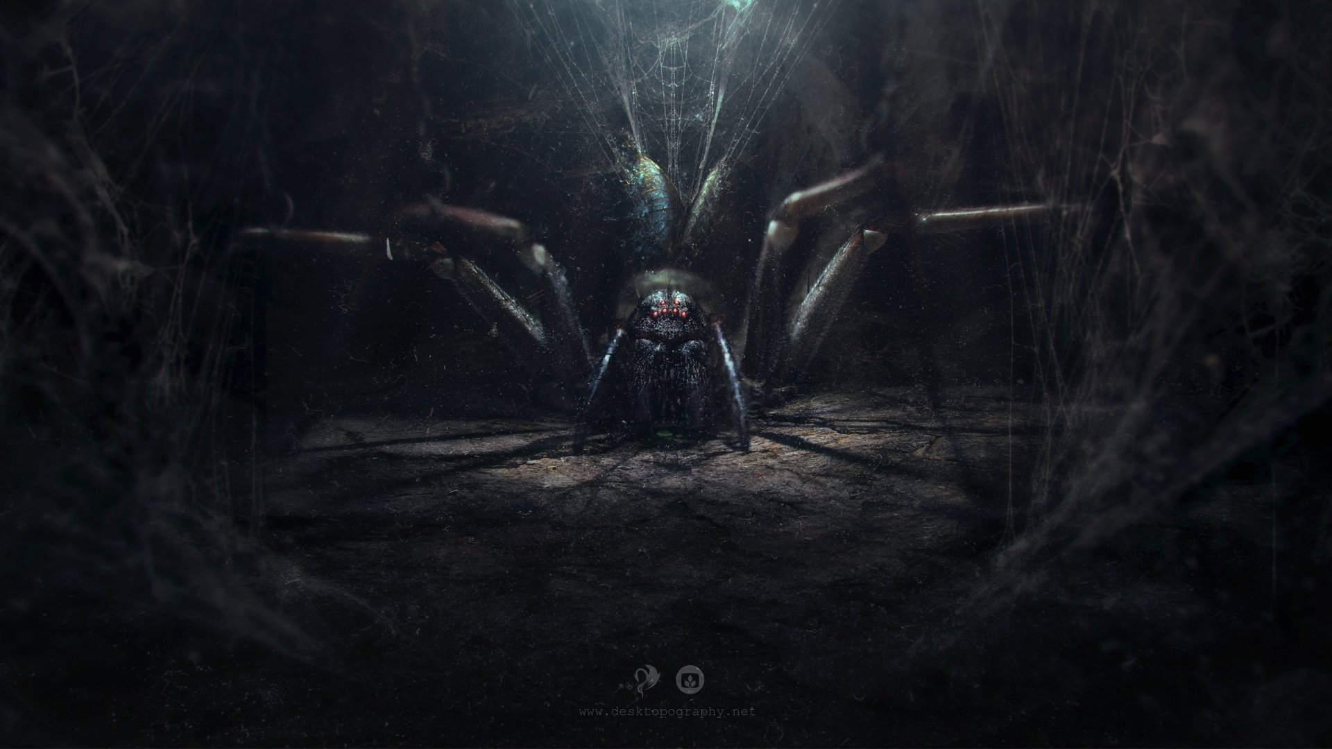 Download Fantasy Spider HD Wallpaper by Lukasz Wiktorzak