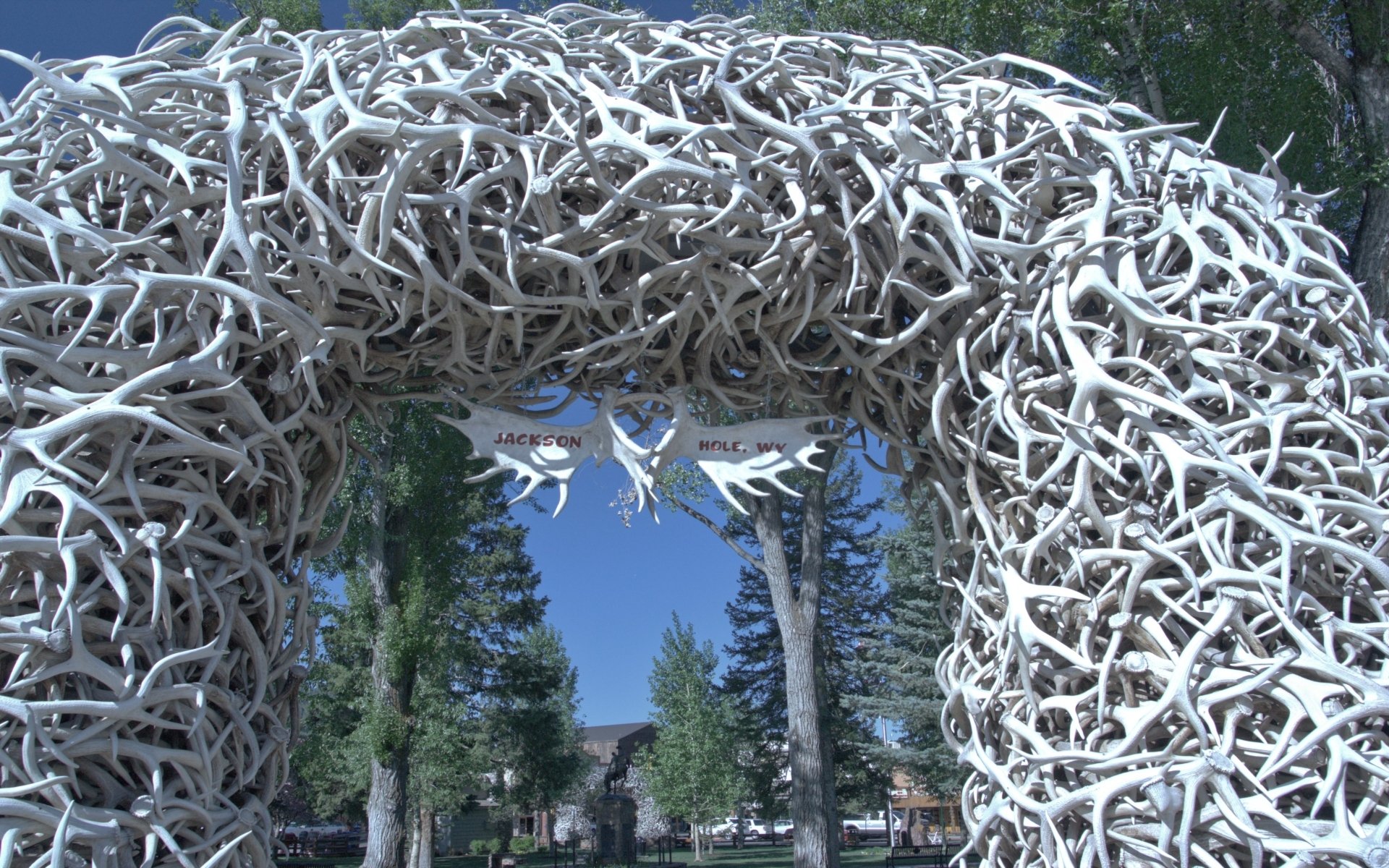 Download Man Made Antler Arch HD Wallpaper