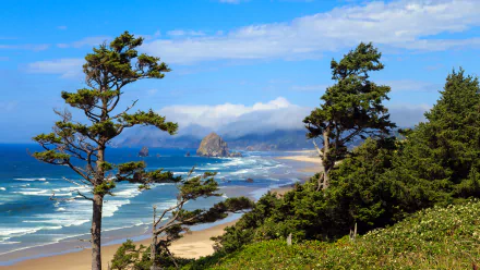 A stunning seascape featuring lush trees overlooking a sandy beach, gentle waves, and distant rocky formations under a bright blue sky, making a captivating HD desktop wallpaper.