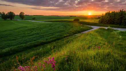 nature sunrise HD Desktop Wallpaper | Background Image