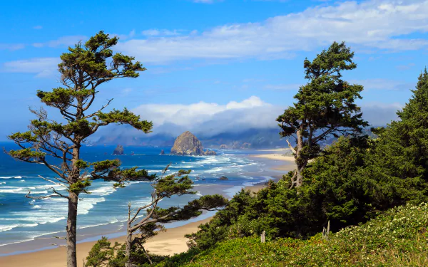 A stunning seascape featuring lush trees overlooking a sandy beach, gentle waves, and distant rocky formations under a bright blue sky, making a captivating HD desktop wallpaper.