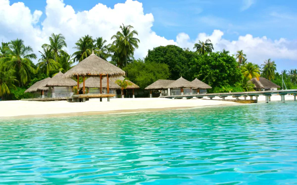 photography tropical HD Desktop Wallpaper | Background Image