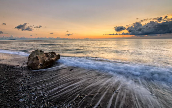 4K Ultra HD PC desktop wallpaper: tranquil seascape at sunrise with driftwood on wet sandy shore and gentle waves pulling back under a pastel sky.