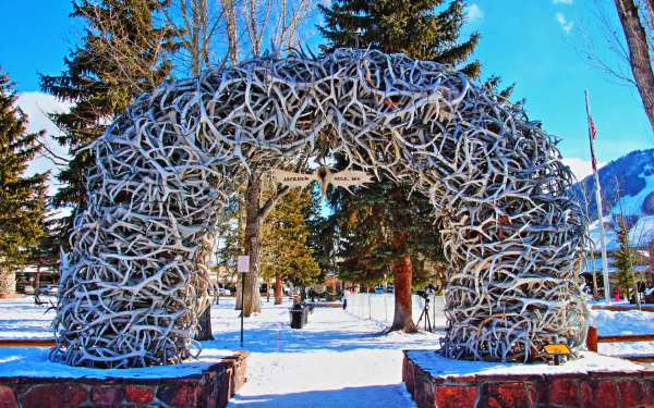 man made Antler Arch HD Desktop Wallpaper | Background Image