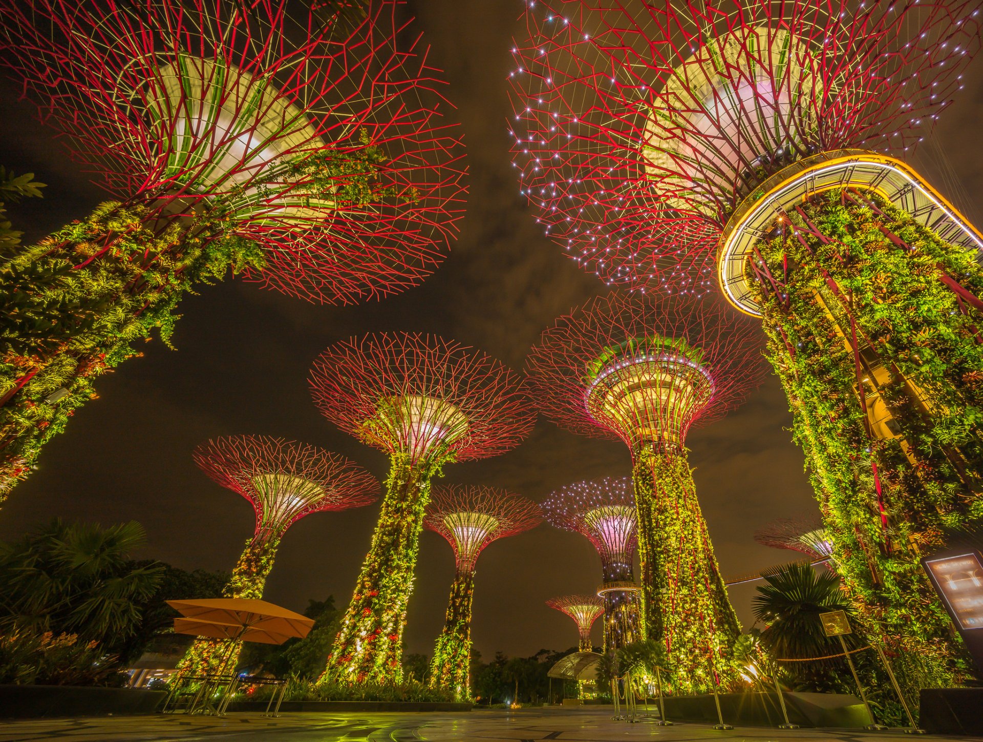 Night view of Singapore's Marina Bay Sands garden with illuminated man-made plant structures, captured in a vibrant HD desktop wallpaper.