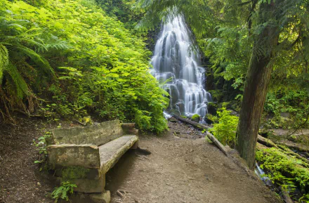 bush bench nature waterfall HD Desktop Wallpaper | Background Image