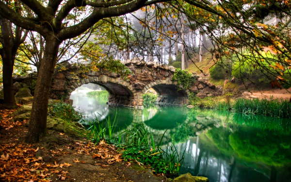 man made Golden Gate Park HD Desktop Wallpaper | Background Image