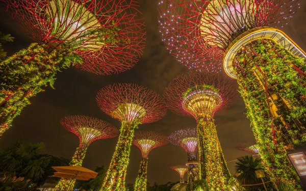Man Made Marina Bay Sands Garden Singapore Plant HD Wallpaper | Background Image