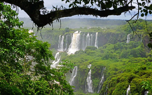 A breathtaking view of Iguazu Falls, surrounded by lush greenery in Brazil, showcasing the mist and power of cascading water amidst a vibrant natural landscape.