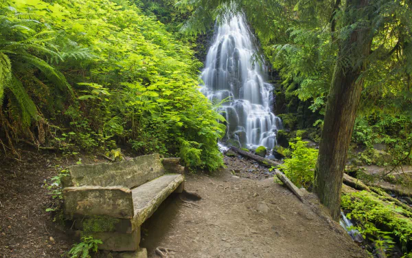 bush bench nature waterfall HD Desktop Wallpaper | Background Image