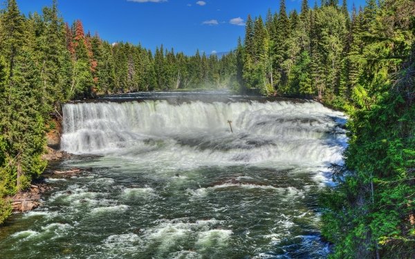 Nature River Wood HD Wallpaper | Background Image