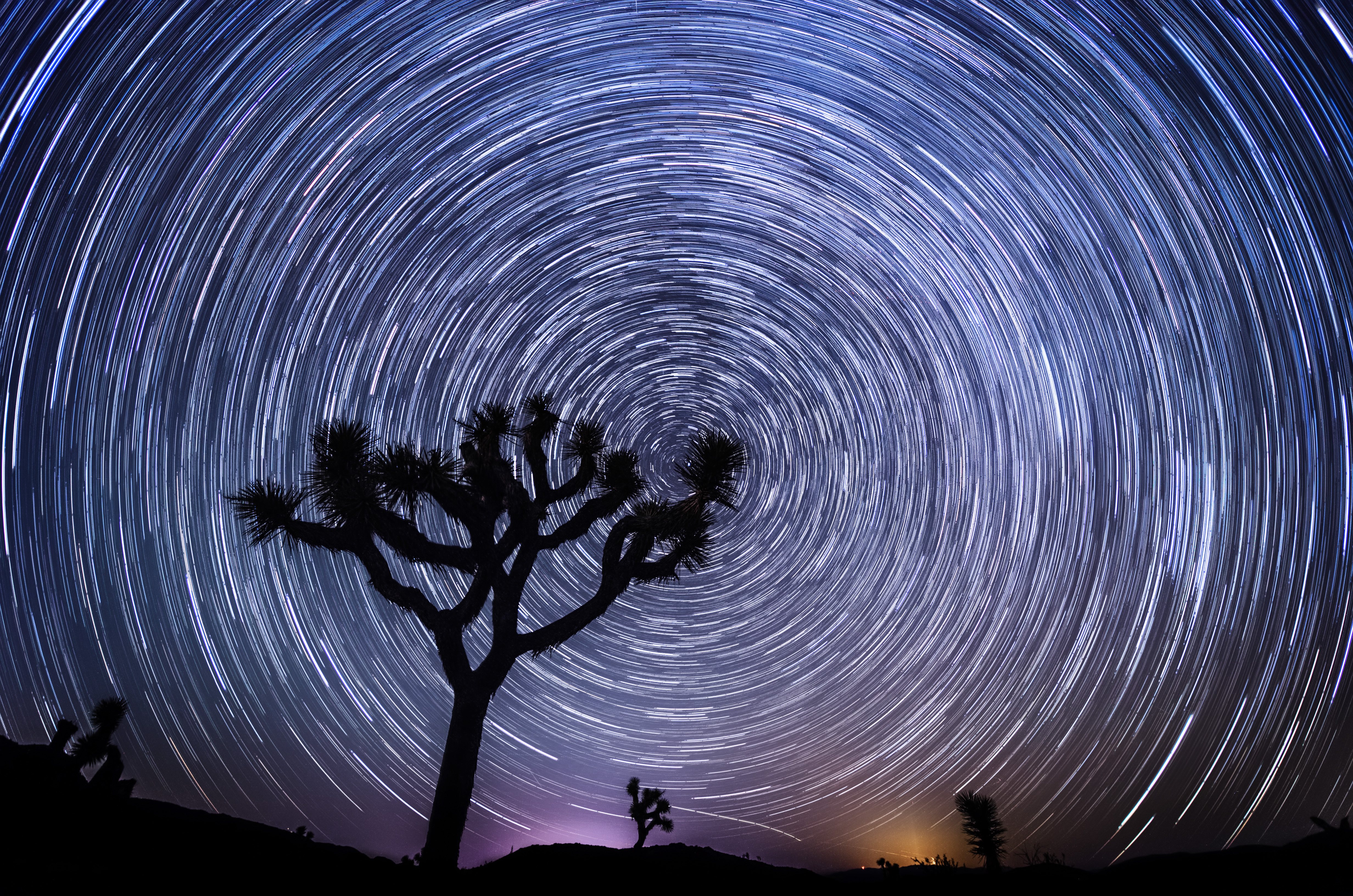 Nature Star Trail HD Wallpaper | Background Image