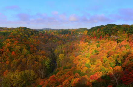 HD PC desktop wallpaper showcasing a vibrant fall forest with trees in rich autumn colors under a partly cloudy sky.