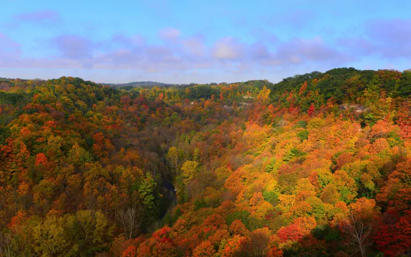 HD PC desktop wallpaper showcasing a vibrant fall forest with trees in rich autumn colors under a partly cloudy sky.