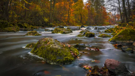 A serene river flows over moss-covered rocks, surrounded by vibrant autumn foliage, creating a tranquil nature scene for a stunning HD desktop wallpaper background.