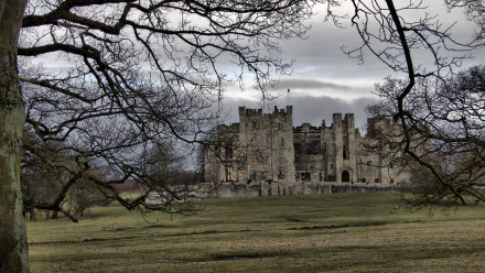 man made Raby Castle HD Desktop Wallpaper | Background Image