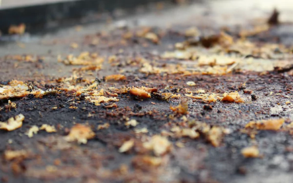 HD desktop wallpaper of food remnants on a grill, showcasing textures and details for a culinary background theme.