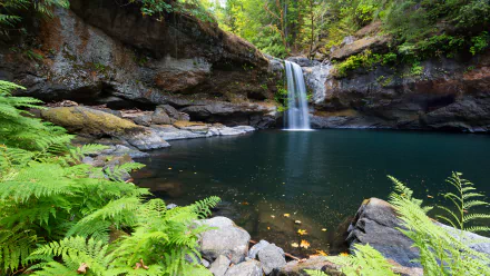 HD desktop wallpaper featuring a serene waterfall cascading into a tranquil pool surrounded by lush greenery and rocky cliffs, exemplifying the beauty of nature.