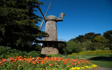 man made Golden Gate Park HD Desktop Wallpaper | Background Image