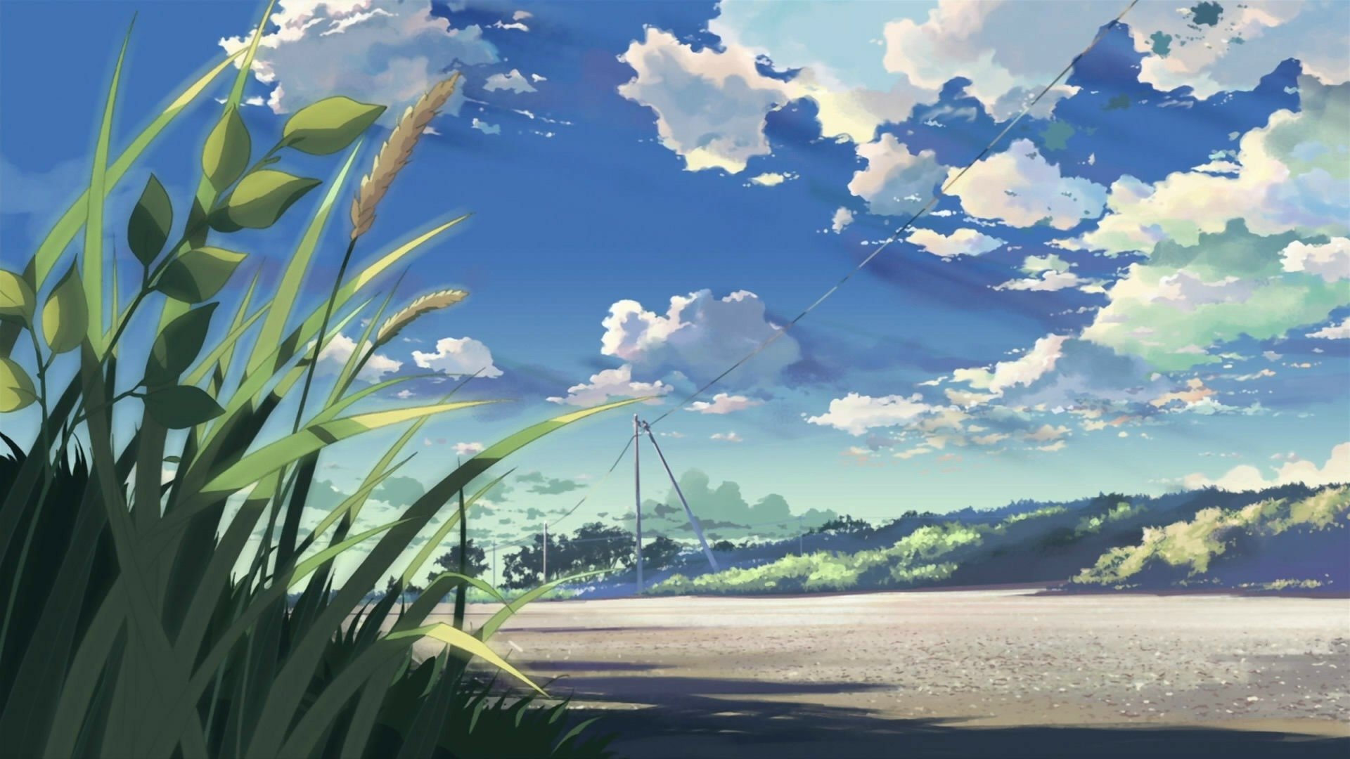 Anime-style HD desktop wallpaper from 5 Centimeters per Second depicting a serene landscape with tall grass, a wide sky filled with clouds, and distant power lines.
