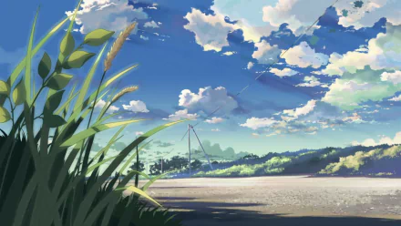 A serene landscape from 5 Centimeters per Second, featuring tall grasses and a vibrant sky filled with clouds, perfect for an HD PC desktop wallpaper and background.