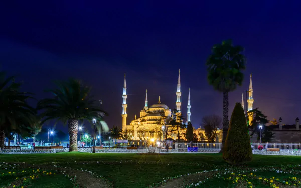 Night view of the illuminated Sultan Ahmed Mosque in Istanbul, Turkey, surrounded by palm trees and a garden, captured as a high-definition desktop wallpaper.