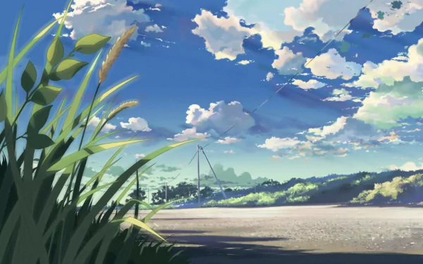 Anime-style HD desktop wallpaper from 5 Centimeters per Second depicting a serene landscape with tall grass, a wide sky filled with clouds, and distant power lines.