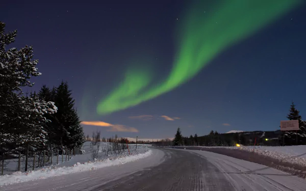 HD PC desktop wallpaper showing a snowy road winding through a forest at night beneath vibrant green aurora borealis lighting up the clear sky.