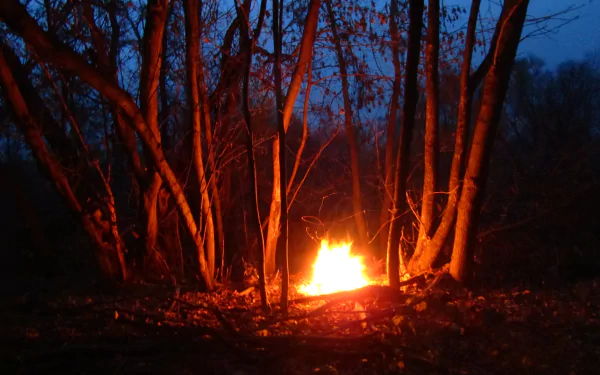 photography fire HD Desktop Wallpaper | Background Image