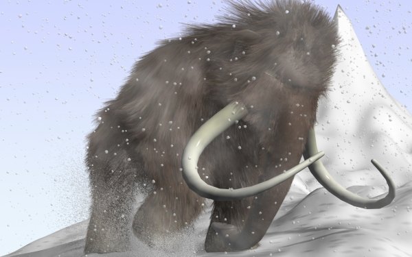 Artistic 3D Art Cartoon Mammoth 3D HD Wallpaper | Background Image