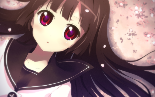 Anime Yuru Yuri Rise Matsumoto HD Wallpaper | Background Image