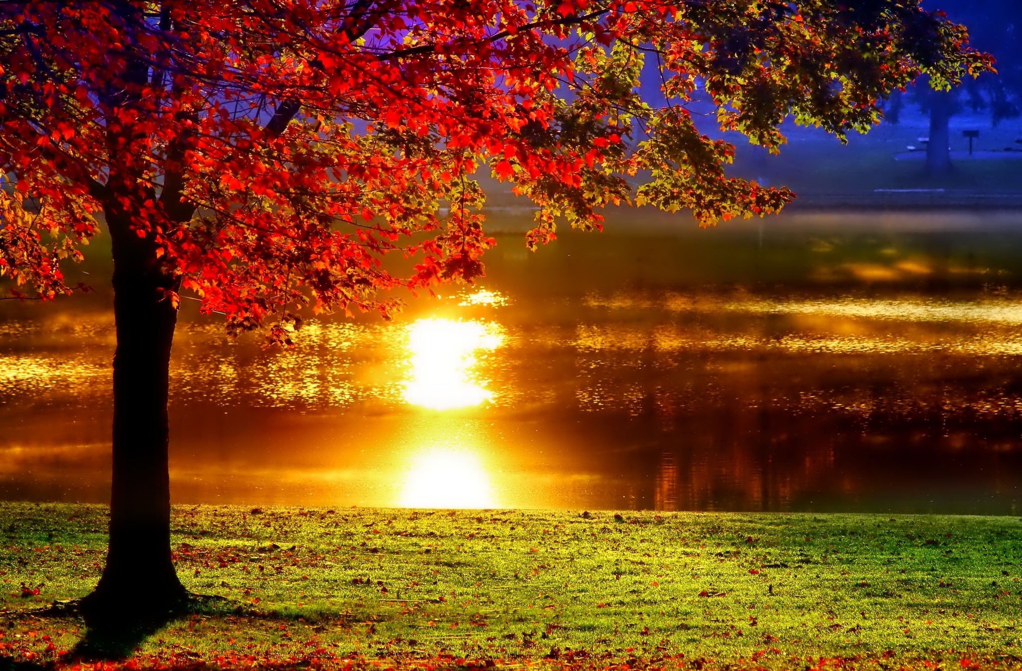 Nature Automne HD Fond D cran
