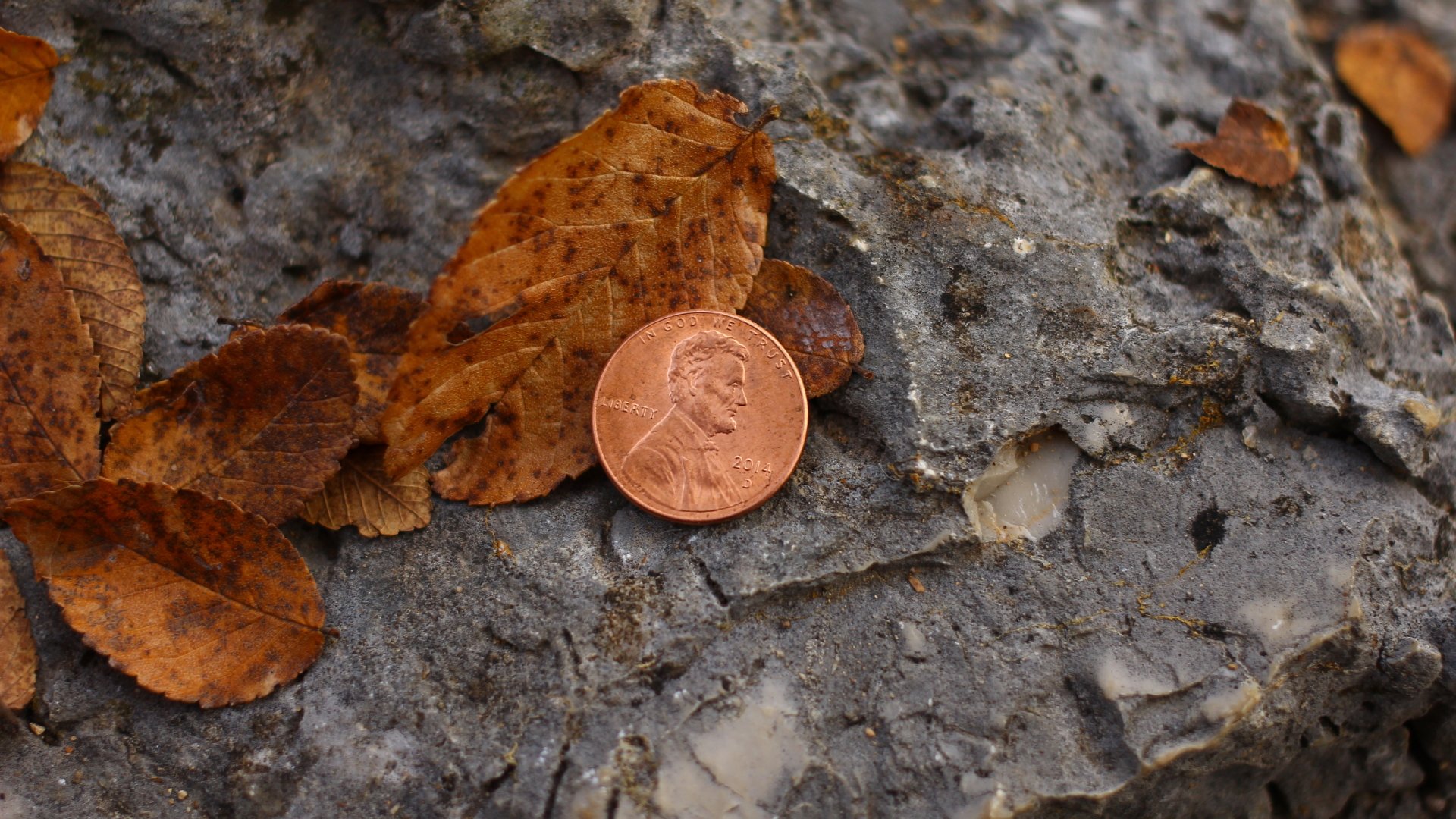 penny for your thoughts by Zachary