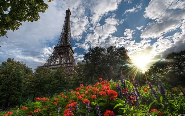 Construction Humaine Tour Eiffel Monuments Parc Paris France Fond d'écran HD | Image