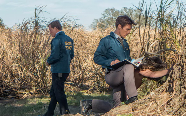 HD PC wallpaper of two detectives in State Police jackets investigating in tall marsh grass; one kneels with a notebook. Scene from the TV show True Detective.