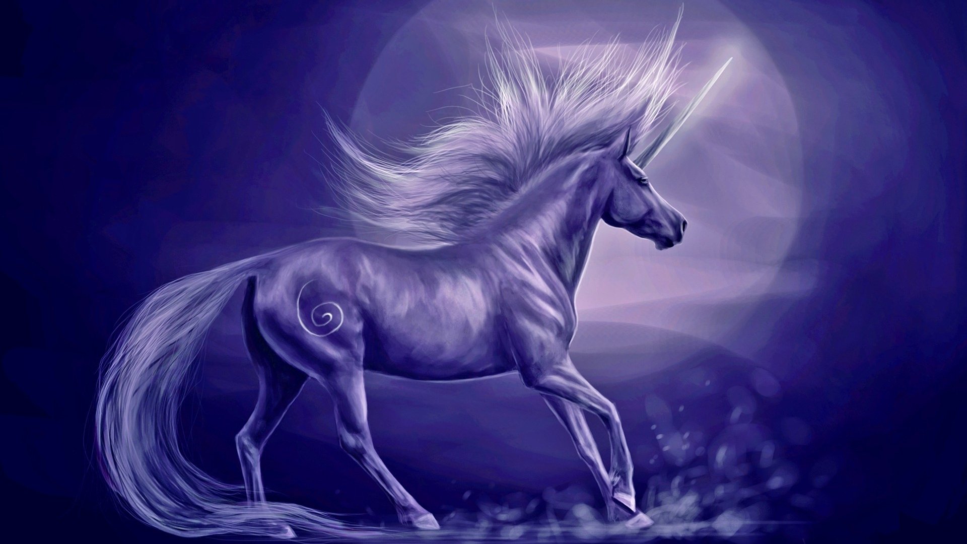 Fantasy Unicorn Hd Wallpaper By Nightmare V