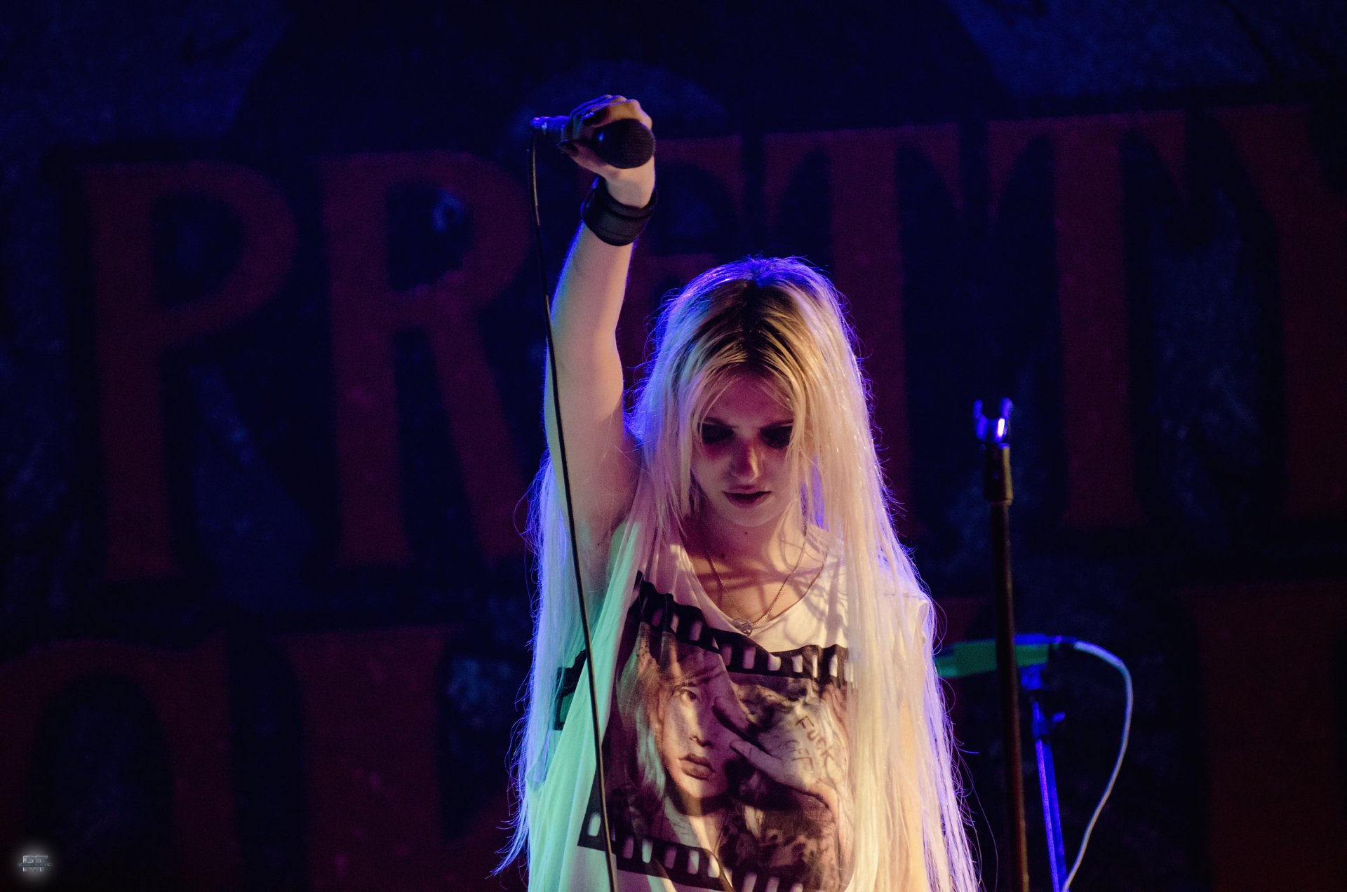 Music Taylor Momsen HD Wallpaper