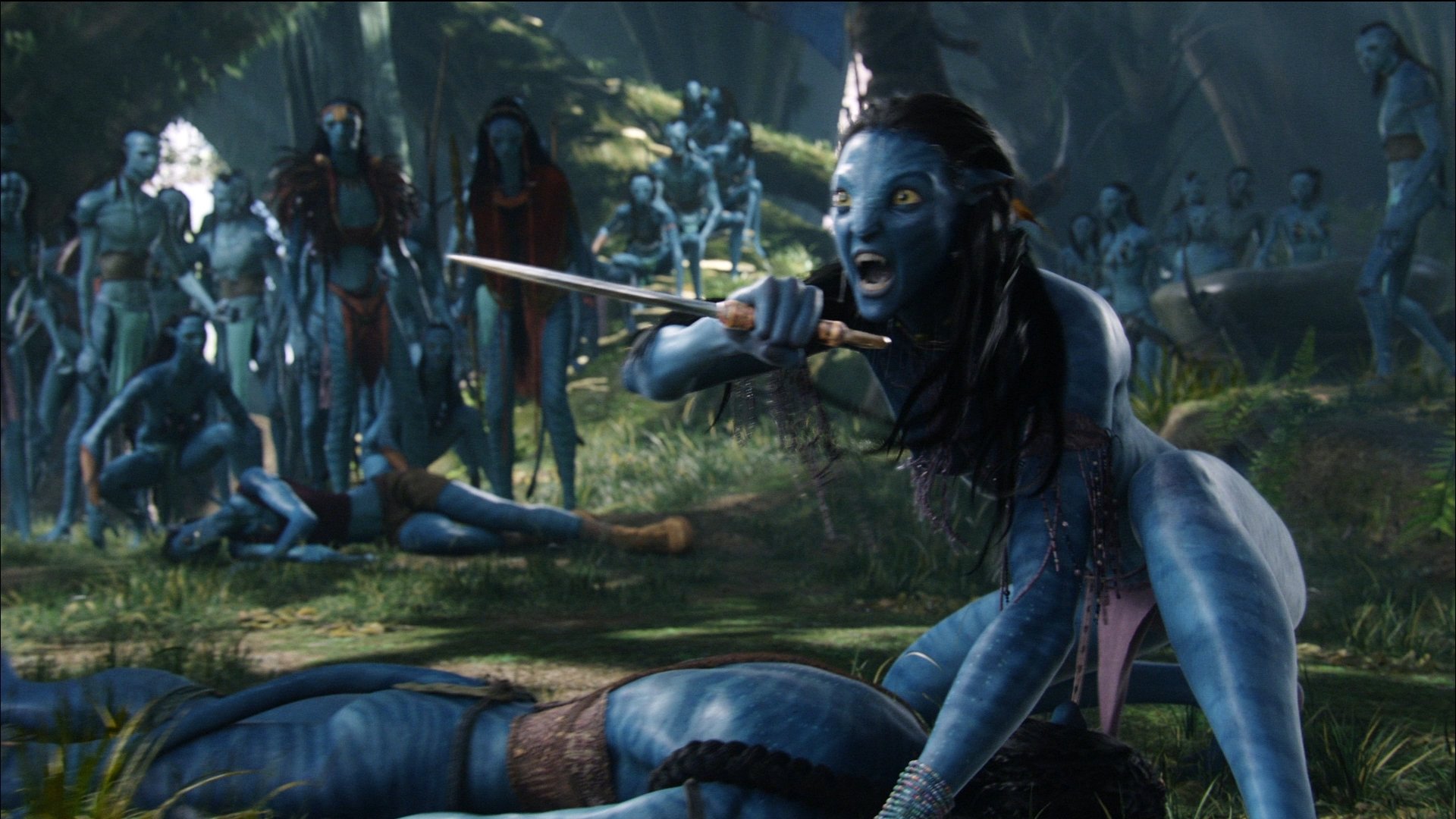 HD PC desktop wallpaper featuring a dramatic scene from the movie Avatar with Na'vi characters in a forest setting.